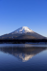 Fototapeta na wymiar 精進湖の逆さ富士