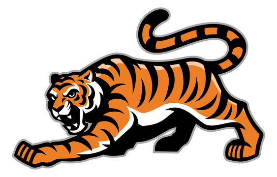 Bengal Tiger Line Vector & Photo (Free Trial)