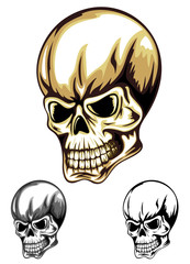 skull color