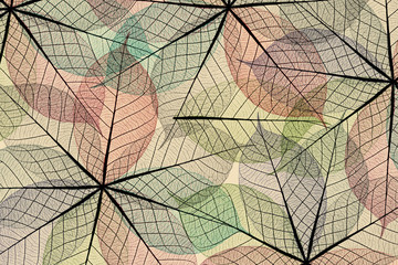 colorful of stack skeleton leaf as abstract background