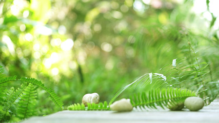 Wood floor foreground for product presentation with green blur f