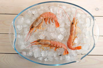 three red tiger shrimp on ice