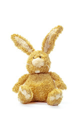 toy bunny sitting isolated