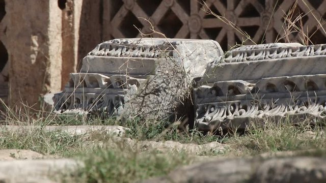 Dry grass blows in the wind near the forum at Leptis Magna, the extensive Roman ruins near Al Homs, Libya