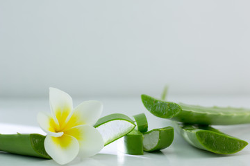 Aloe Vera sliced, isolated on a white background for health.
