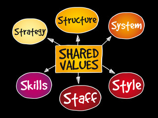 Shared values management business strategy mind map concept