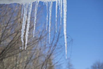 Eiszapfen vor blauem Himmel