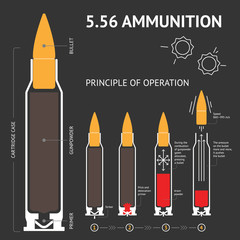 Infographics about the principle of bullet operation. Vector