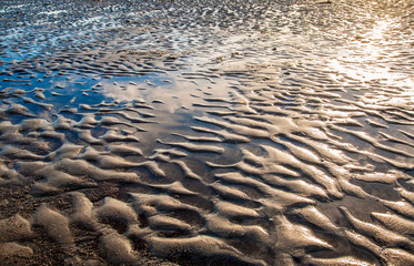 Low tide at sunset on North sea in North Germany