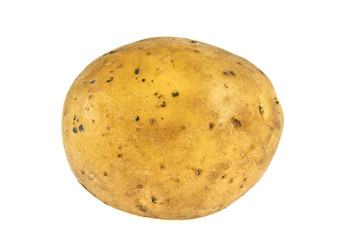 Potato on a white background