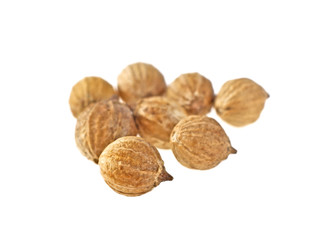 Coriander seeds isolated on white background