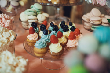 delicious colorful cookies and cakes on the wedding candy bar