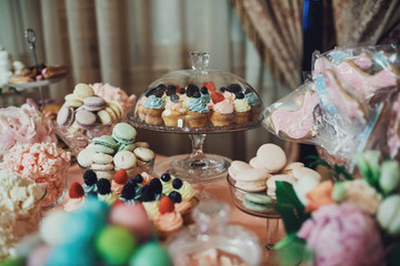 delicious colorful cookies and cakes on the wedding candy bar