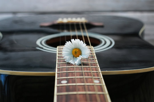 Guitar String Daisy