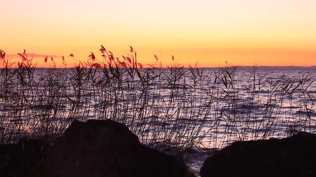 Tramonto sul lago con canneto