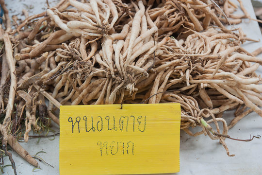 Thailand language text on the label is the name of the herb, Thailand. When translated into English, is "Stemona tuberosa Lour.", Thailand put on the market.