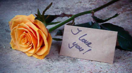 Orange rose and note I love you on the craft paper