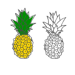Hand drawn colorful pineapple. Vector illustration with green and yellow colors.