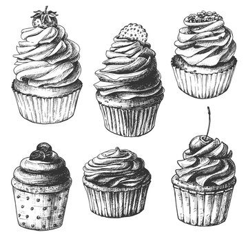 Hand drawn cupcakes, set of vintage food sketches, isolated on white background. Vector illustration.