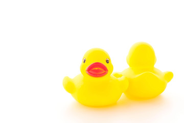 Little duck, yellow rubber duck on white background.