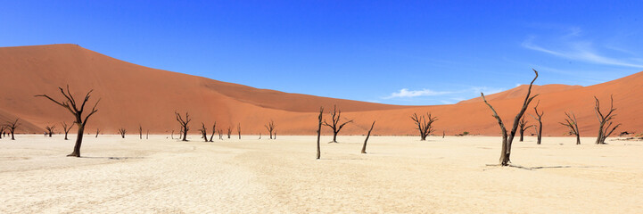 Dead tree in Sossusvlei Namibia - obrazy, fototapety, plakaty