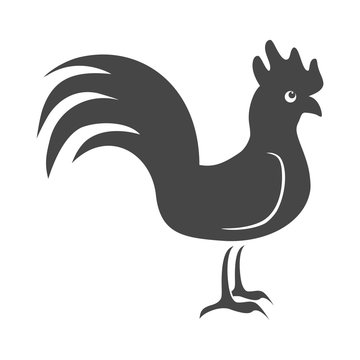 Rooster - vector Illustration