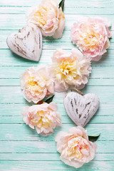 Pink peonies flowers and  two decorative hearts on  turquoise  w