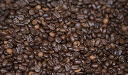 roasted coffee beans