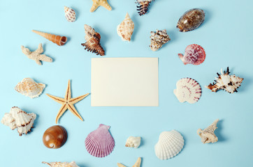 Plenty of different seashells on a blue background. Seaside themed background for travel agency template advertising or postcard. Top view vintage toned still life.