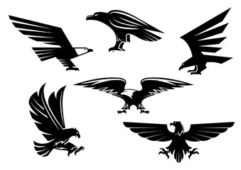 Eagle vector isolated icons, heraldic bird emblems