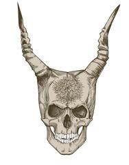 devils skull with horns