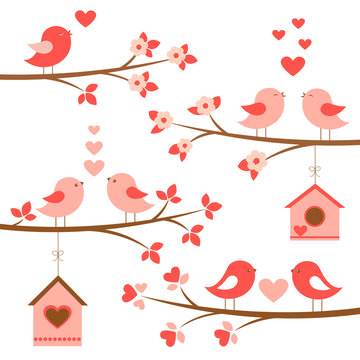 Set of cute birds in love on blooming branches