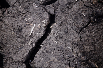 Gray texture of dry soil