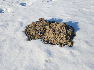 Maulwurfshuegel, Schnee