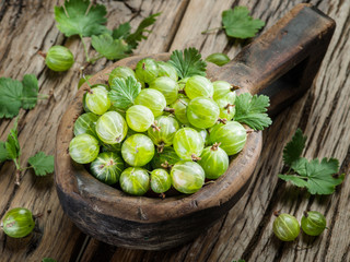 Gooseberries in the wooden bowl on the table.