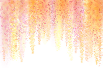 Spring background with blooming wisteria