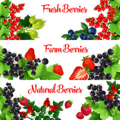 Fresh berries vector banners set