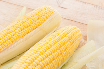 Fresh corn on wooden background.