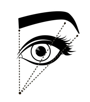 recommend clip art: Monochrome scheme of ideal proportions eyebrows and eyes. Tutorial how to shape the eyebrow on face. Black color. Manual for shaping the eyebrows. Vector illustration