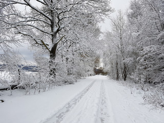 Obraz premium Winterlandschaft, Taunus, Taunusstein
