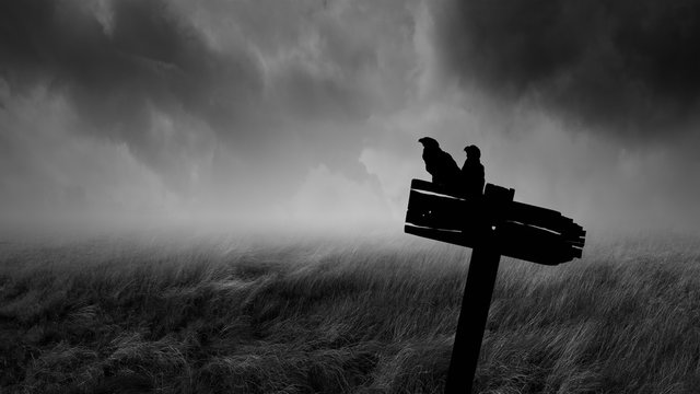 graveyard silhouette halloween abstract background.