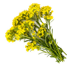 Bouquet with yellow flowers