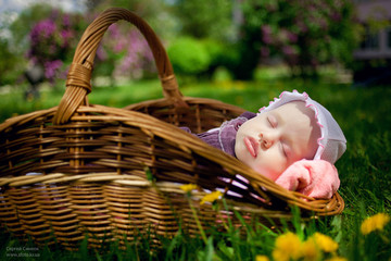 Baby girl sleeping in a basket