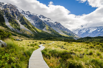 View on the Mt. Cook trail in New Zealand