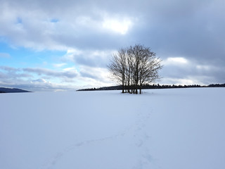 Fototapeta na wymiar Winterlandschaft, Taunus, Taunusstein