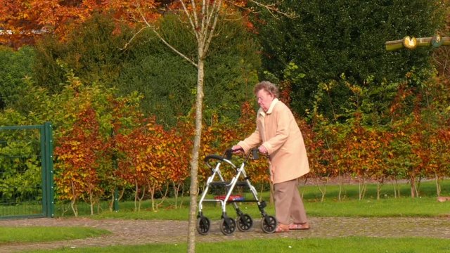 A lonley pensioner with wheel walker in a autumn park - pan 11831
