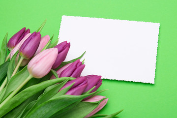 Spring tulips and greeting card