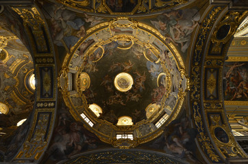 Fototapeta premium Genovese