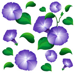 Seamless background design with morning glory flowers
