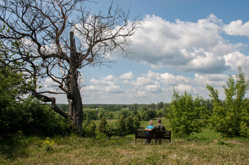 Fototapeta premium The two elderly people sitting on a bench under a tree with a good view of nature